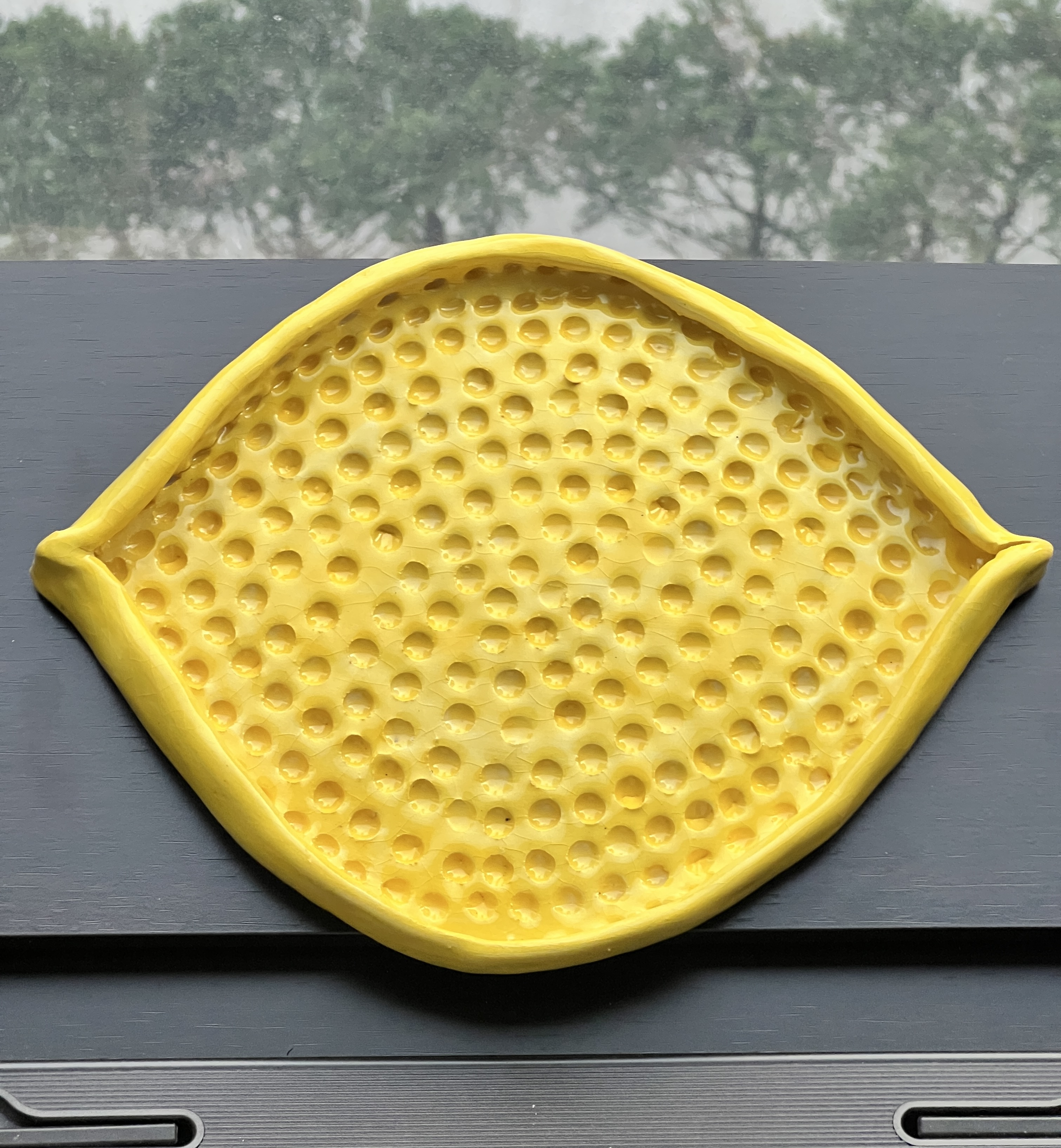 The Lemon Tray
